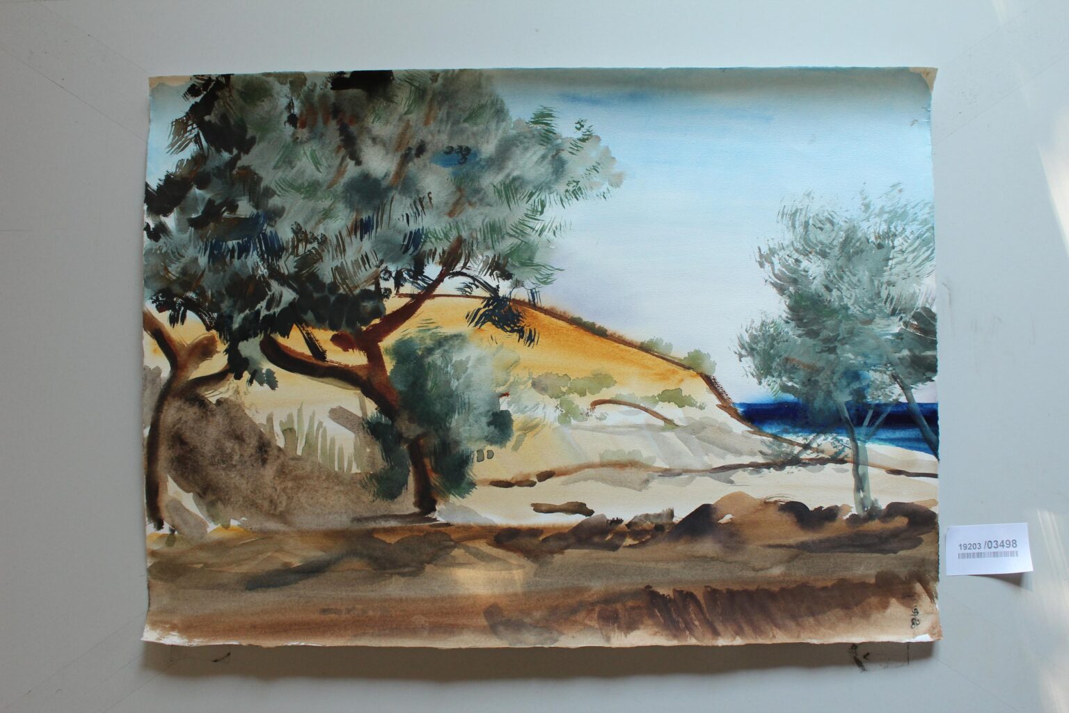 Bäume am Strand von Glyfada (Korfu) - Gerd Baukhage 