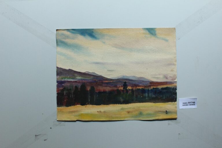Murnauer Moor - Gerd Baukhage 