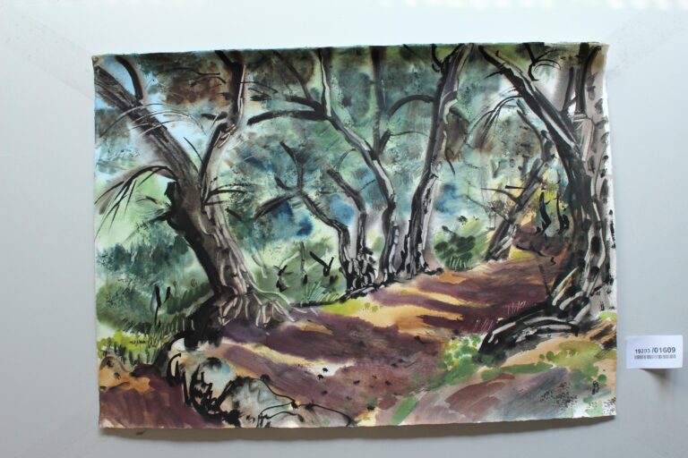 Weg in einem Olivenhain b. Pelekas (Korfu) - Gerd Baukhage 