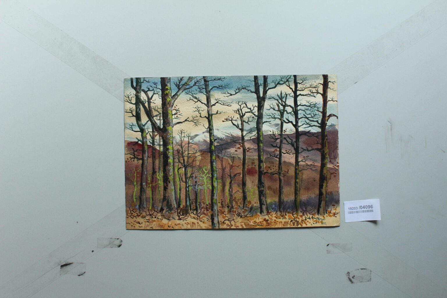 Eichen am Obleben Westkaukasus (Blick auf Laganski Rücken) - Gerd Baukhage 