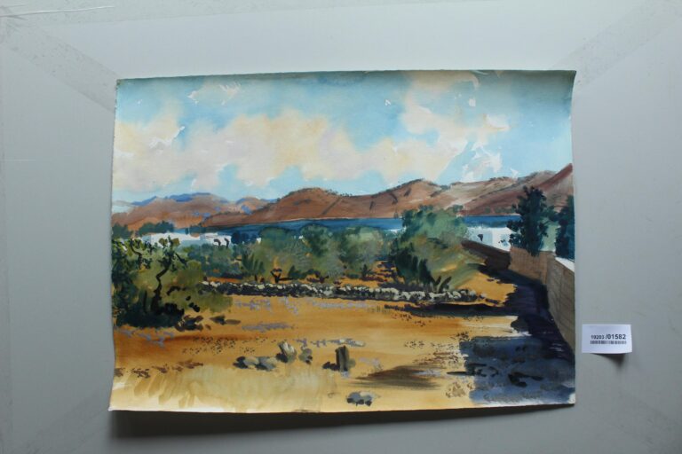 Olivenhain b. Elounda (Kreta) - Gerd Baukhage 