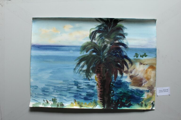 bei Funchal (Madeira) - Gerd Baukhage 