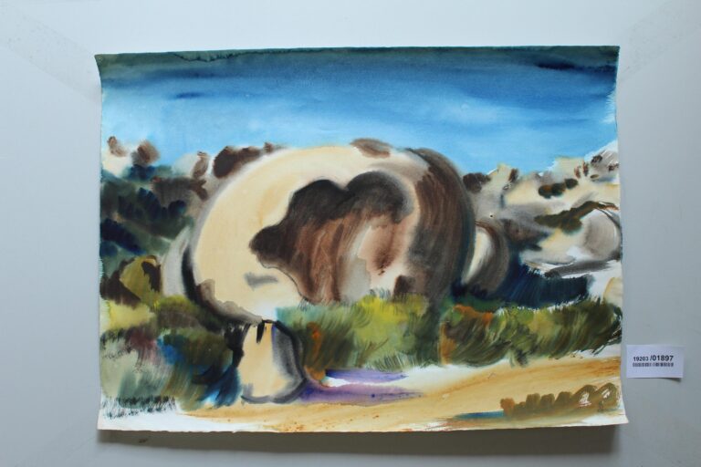 Felsen an der Madonna dela Serra bei Calvi (Korsika) - Gerd Baukhage 