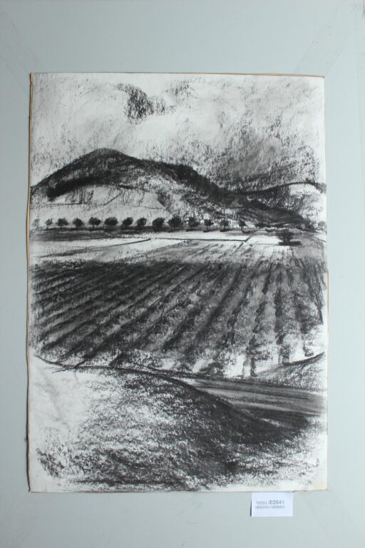 Felder - Gerd Baukhage 