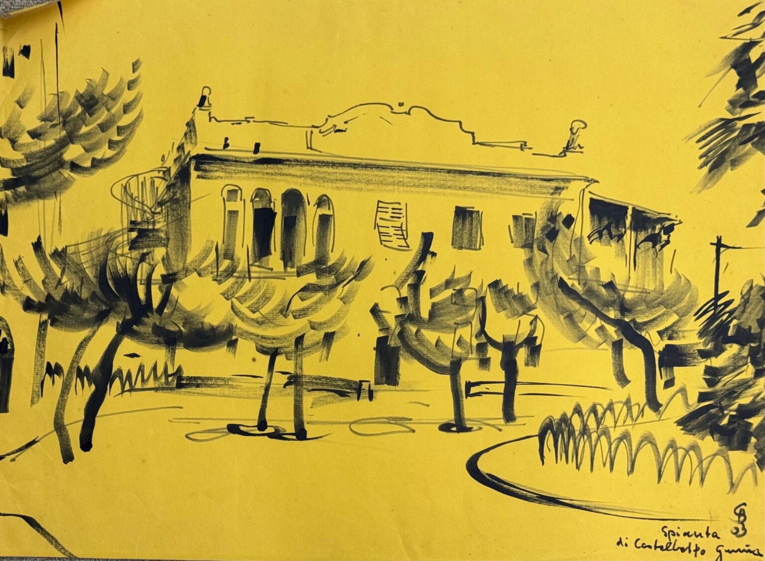 Spianta di Castellato Guina - Gerd Baukhage 