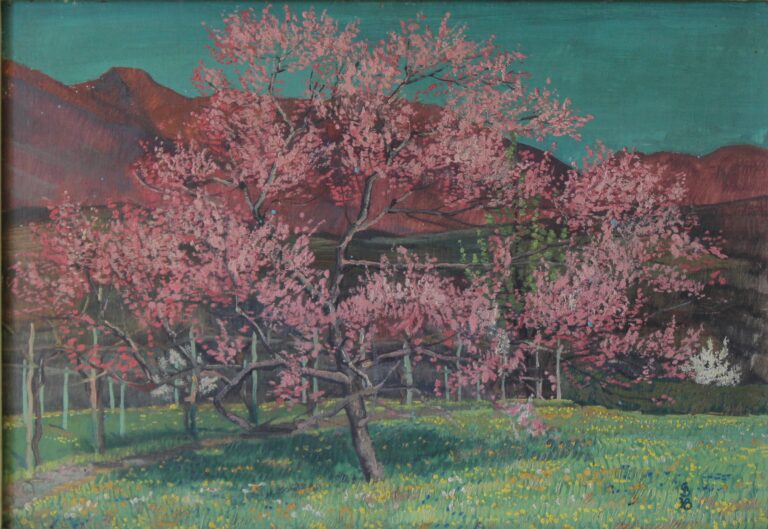 Pfirsichbaum im Cassarateful (Tessin) - Gerd Baukhage 