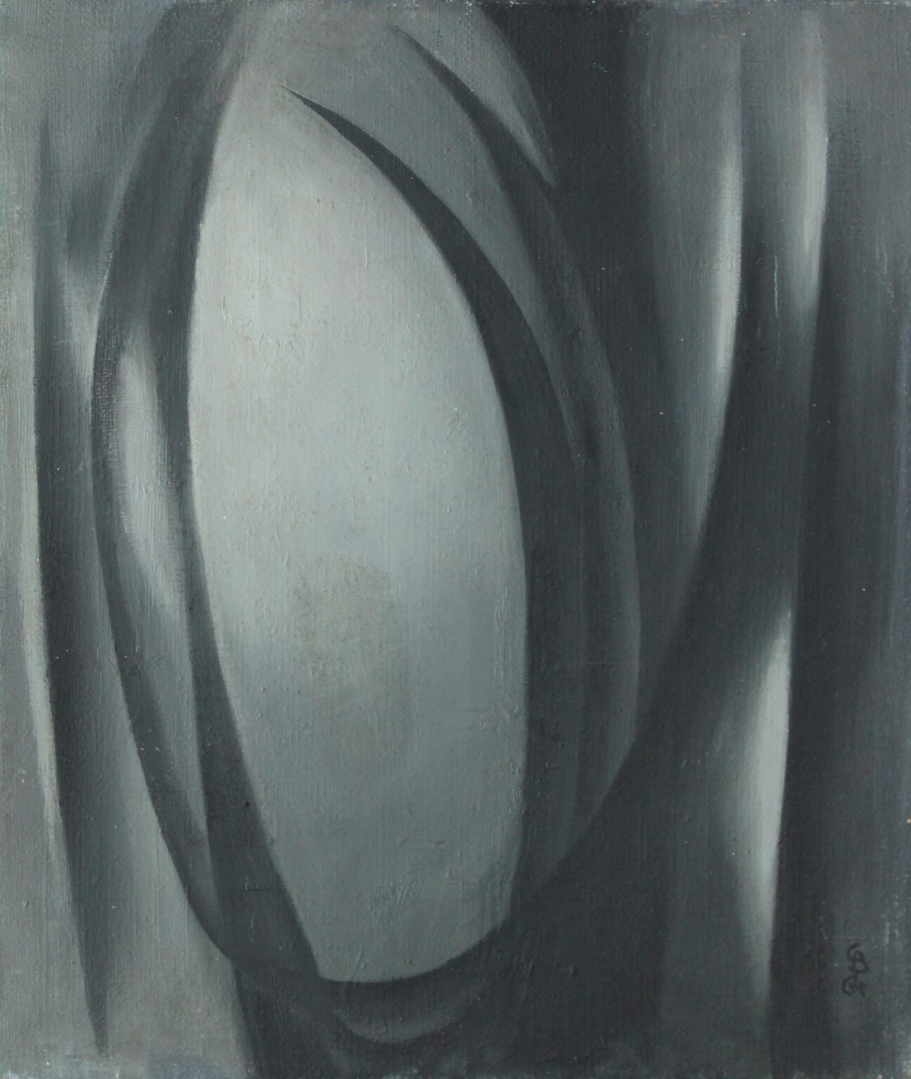 Schwarze Schw&uuml;nge - Gerd Baukhage 