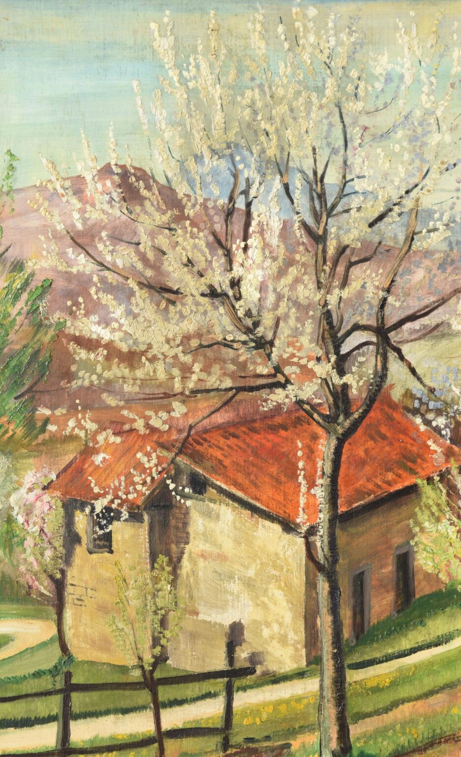 Bl&uuml;hender Kischbaum in Albonago (Tessin) - Gerd Baukhage 