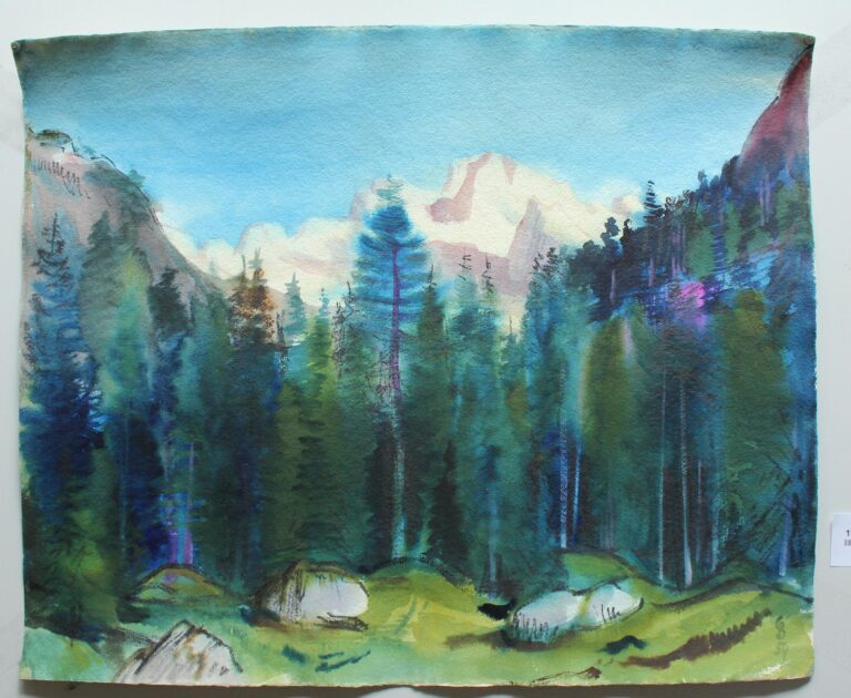Alm b. Goßau Salzkammergut - Gerd Baukhage 