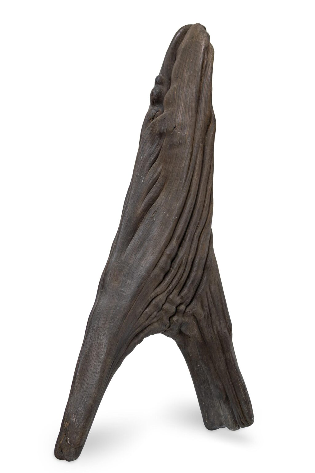 Rooted Flow - Roland Berger Imhof Fine Arts