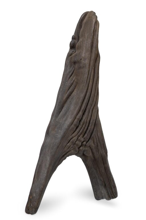 Rooted Flow - Roland Berger Imhof Fine Arts