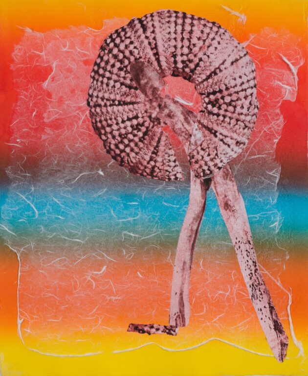 Dream Maker … Dream Catcher - Amy Ernst 