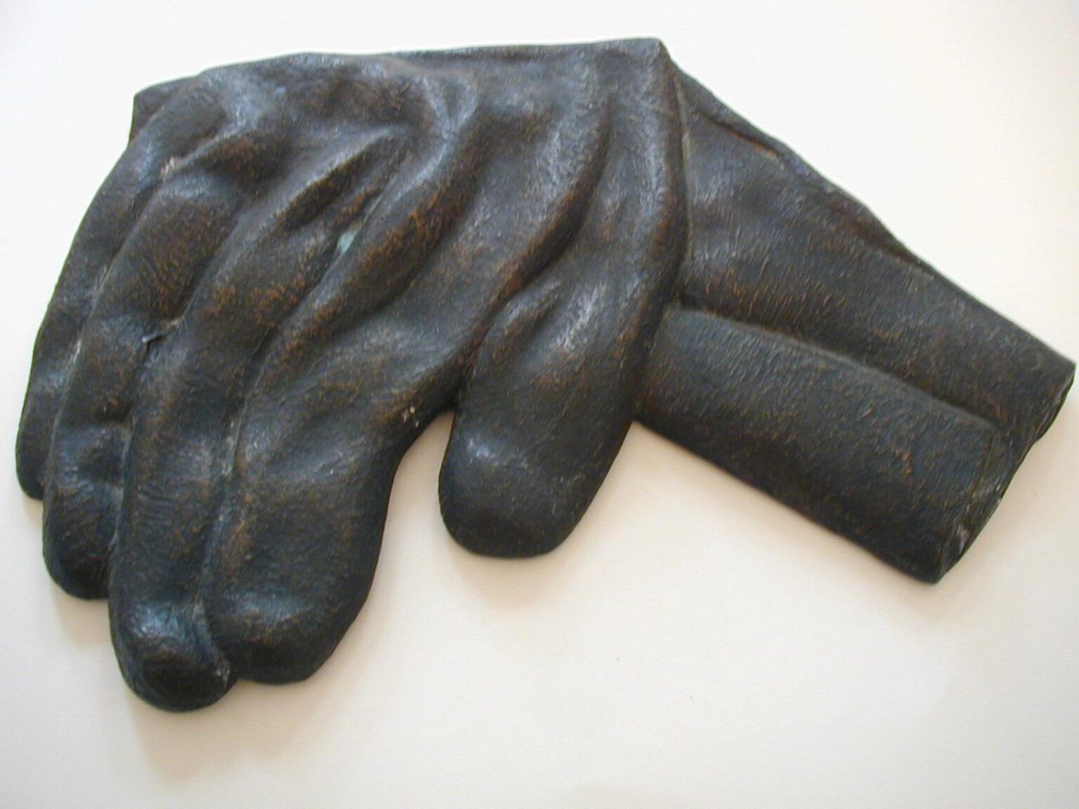 Handschuh - G&uuml;nter Grass 