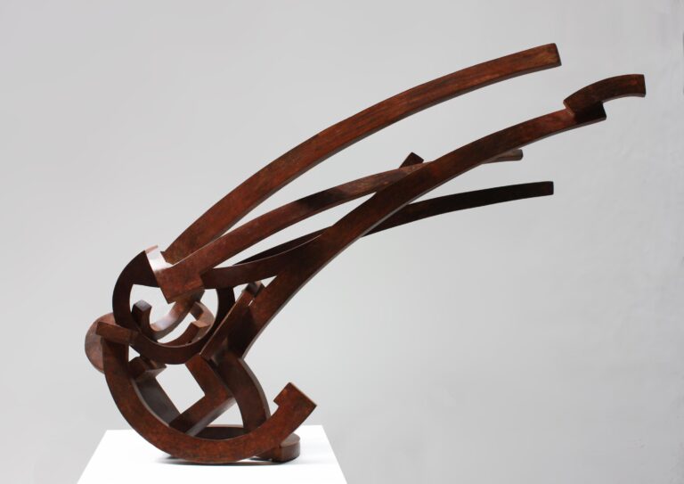 Cometa di Henke - Riccardo Cordero 