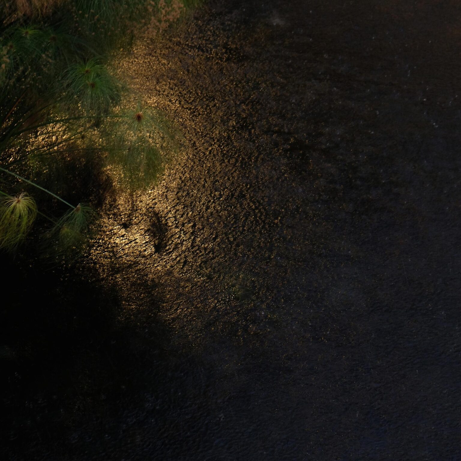 Tableau Diane au Bain I, Syrakus, Sizilien - Ann-Christine Woehrl 