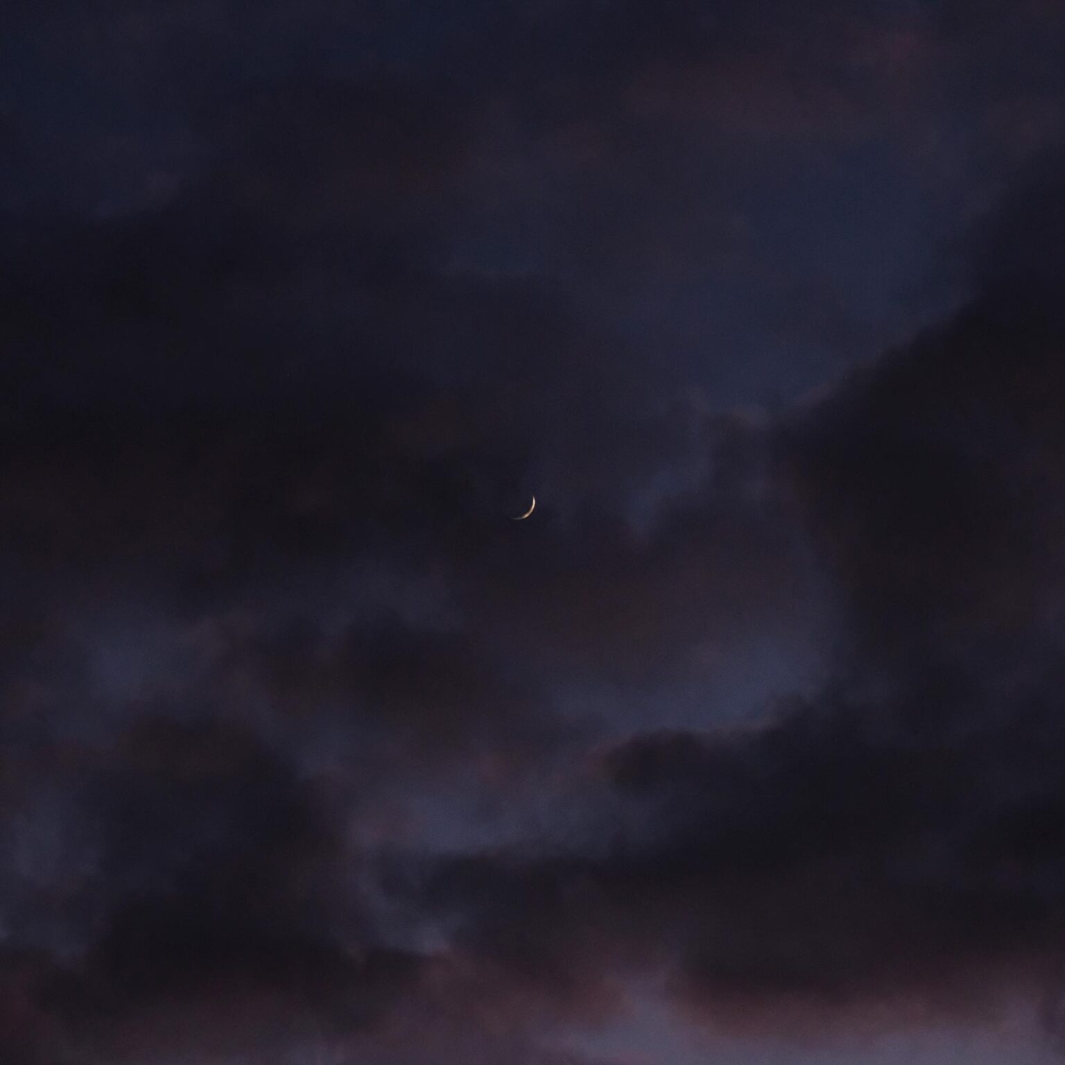 Moon in Mauve, Deutschland - Ann-Christine Woehrl 