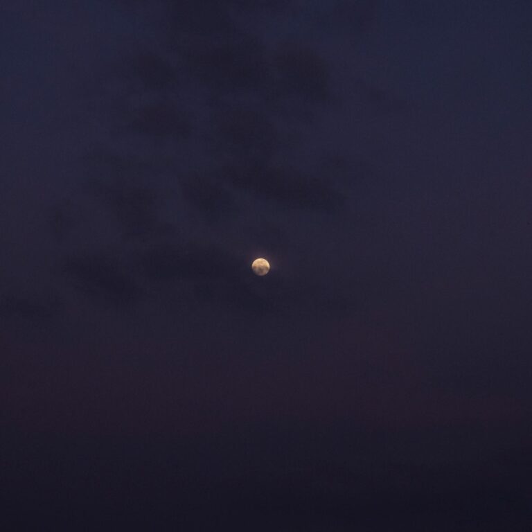 Moon in Mauve, Frankreich - Ann-Christine Woehrl 
