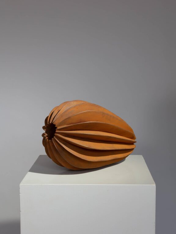 Capsula - Herbert Mehler 