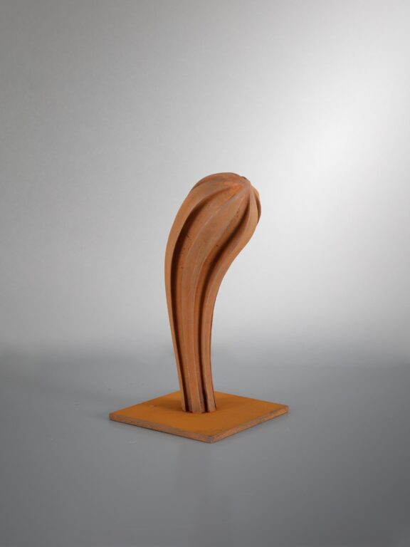 Zucchina - Herbert Mehler 