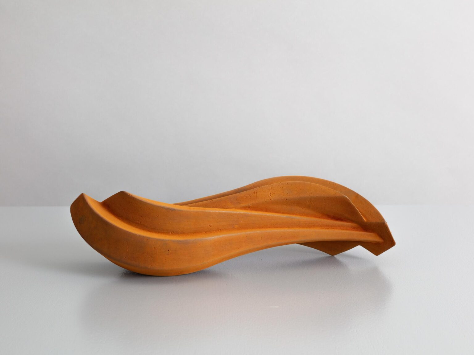 Due foglie - Herbert Mehler 