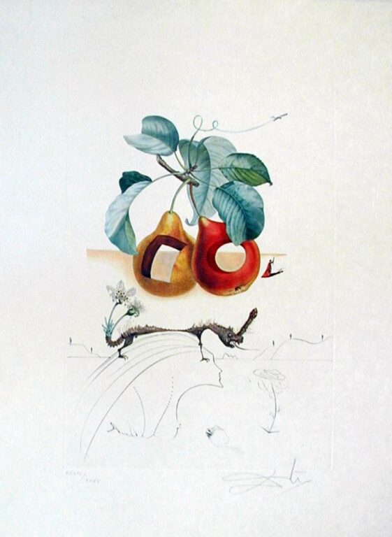 Fruits troués - Salvador Dalí 
