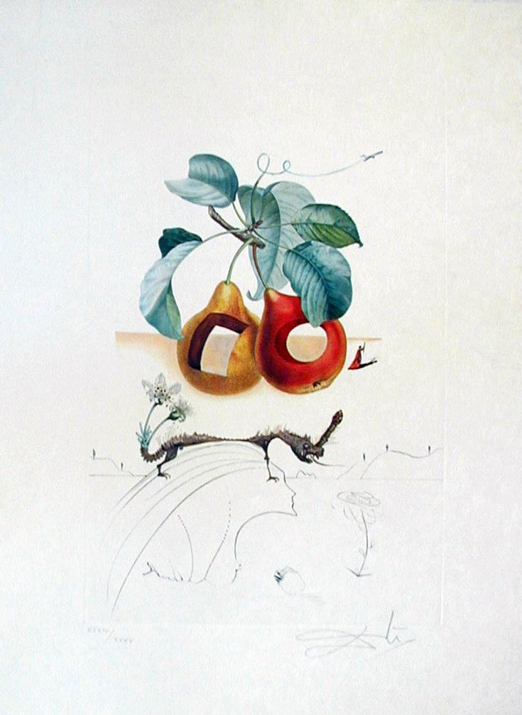 Fruits trou&eacute;s - Salvador Dal&iacute; 