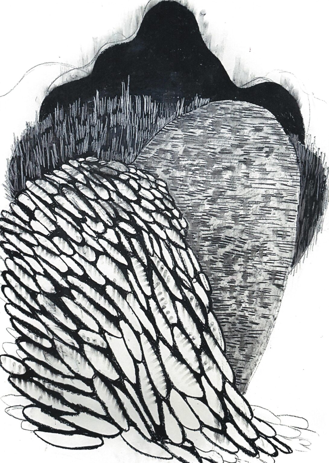 Sierra de la Albera - Beate Debus 