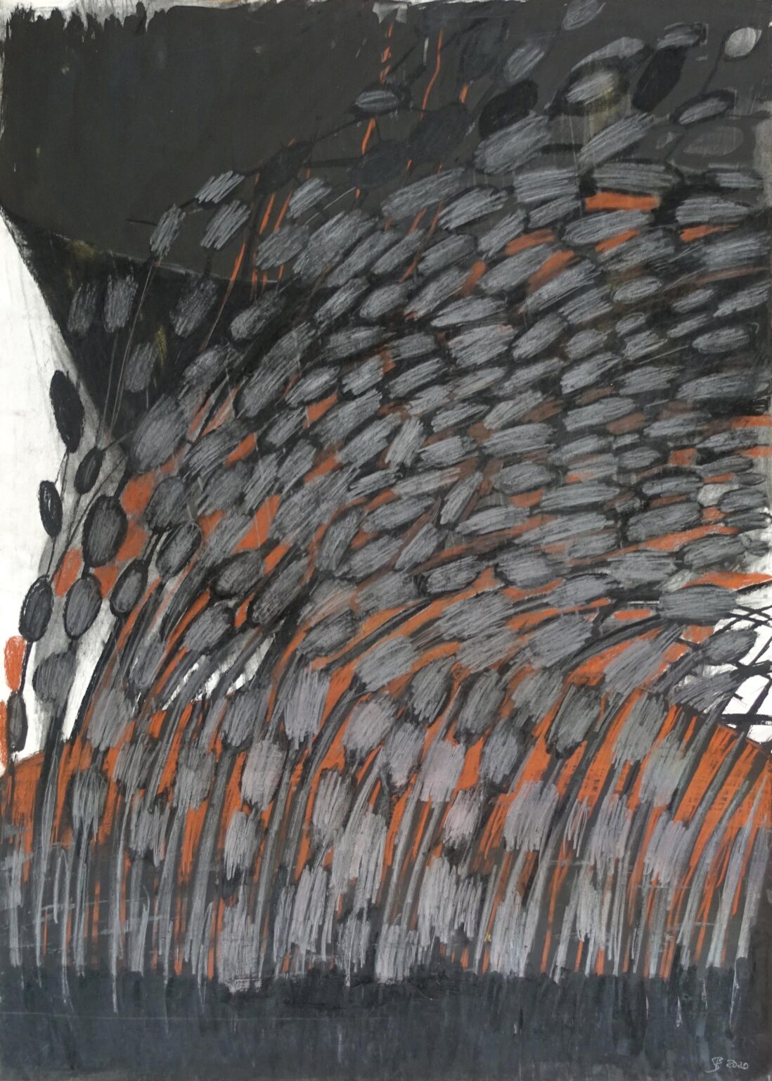 Rot durchleuchtet - Beate Debus 