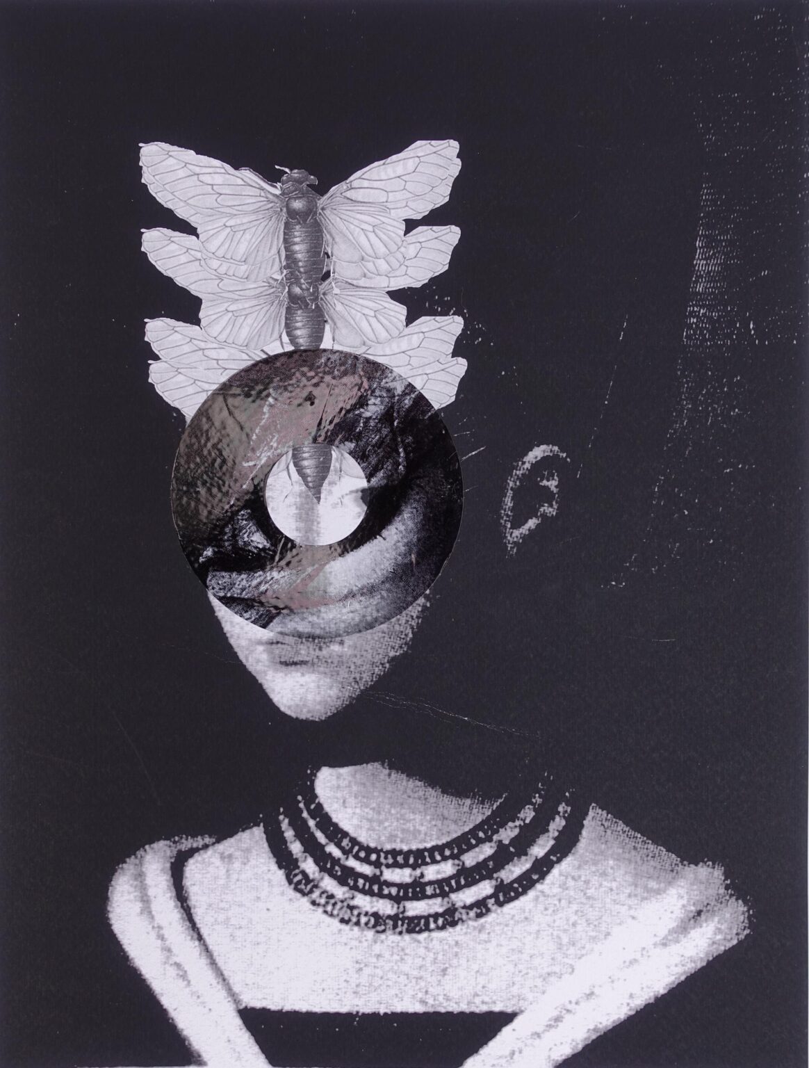 Masquerade - Amy Ernst 