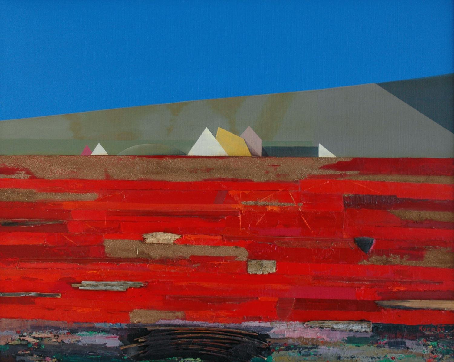 Mohnfelder - Karl Korab 