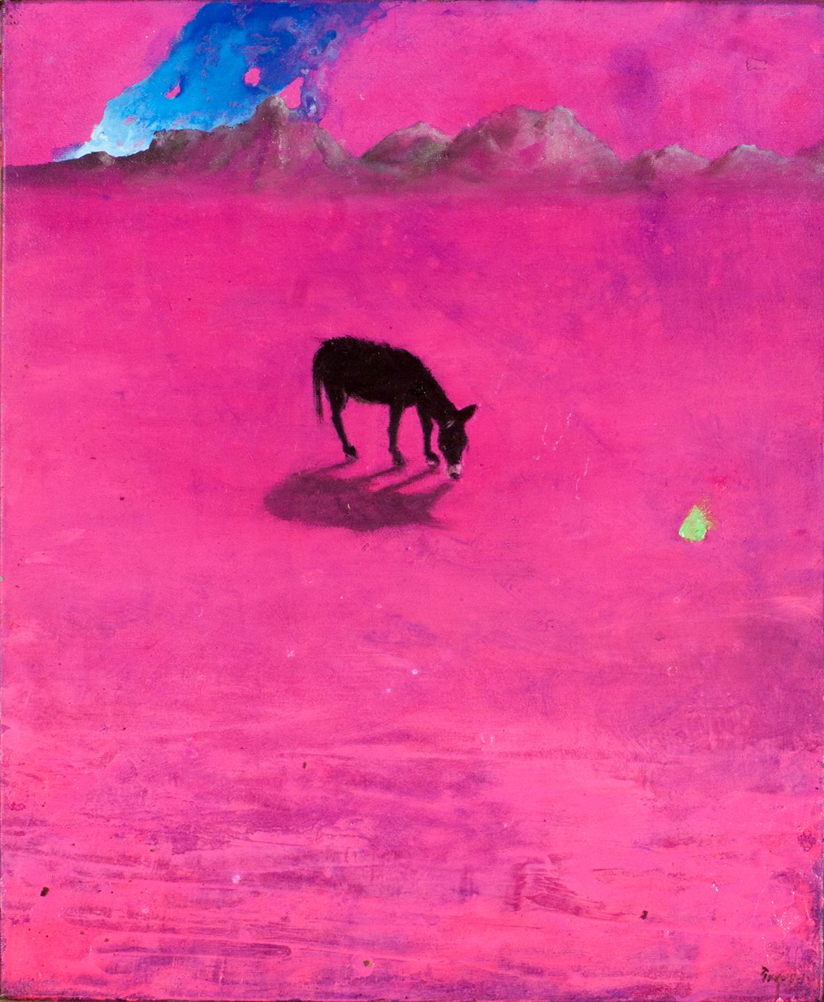 Mundo rosa - Jos&eacute; Engu&iacute;danos 