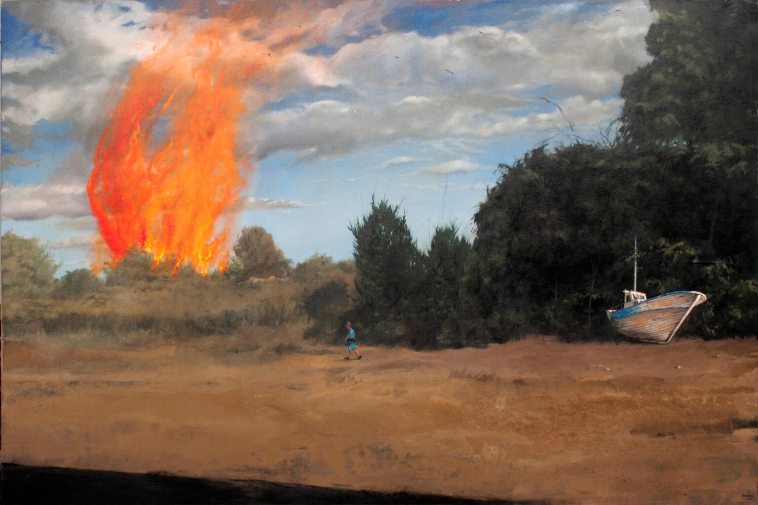 Fuego en el Campo - Jos&eacute; Engu&iacute;danos 