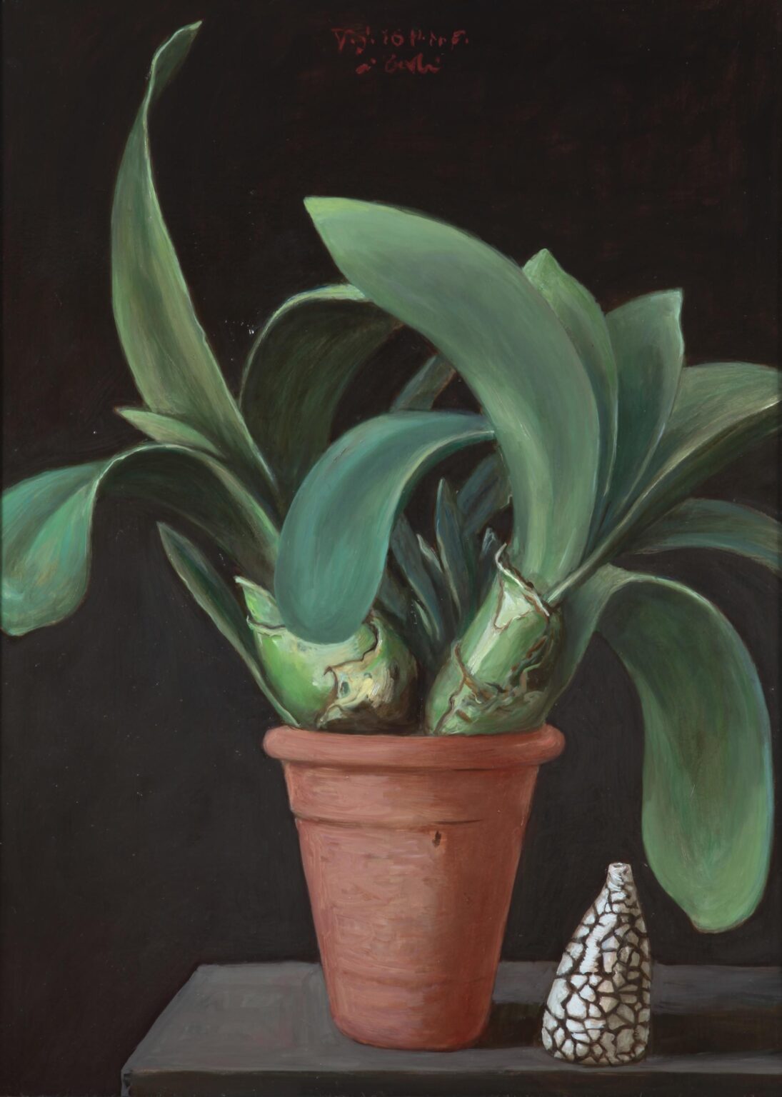 Elefantenohr - Volker Stelzmann 