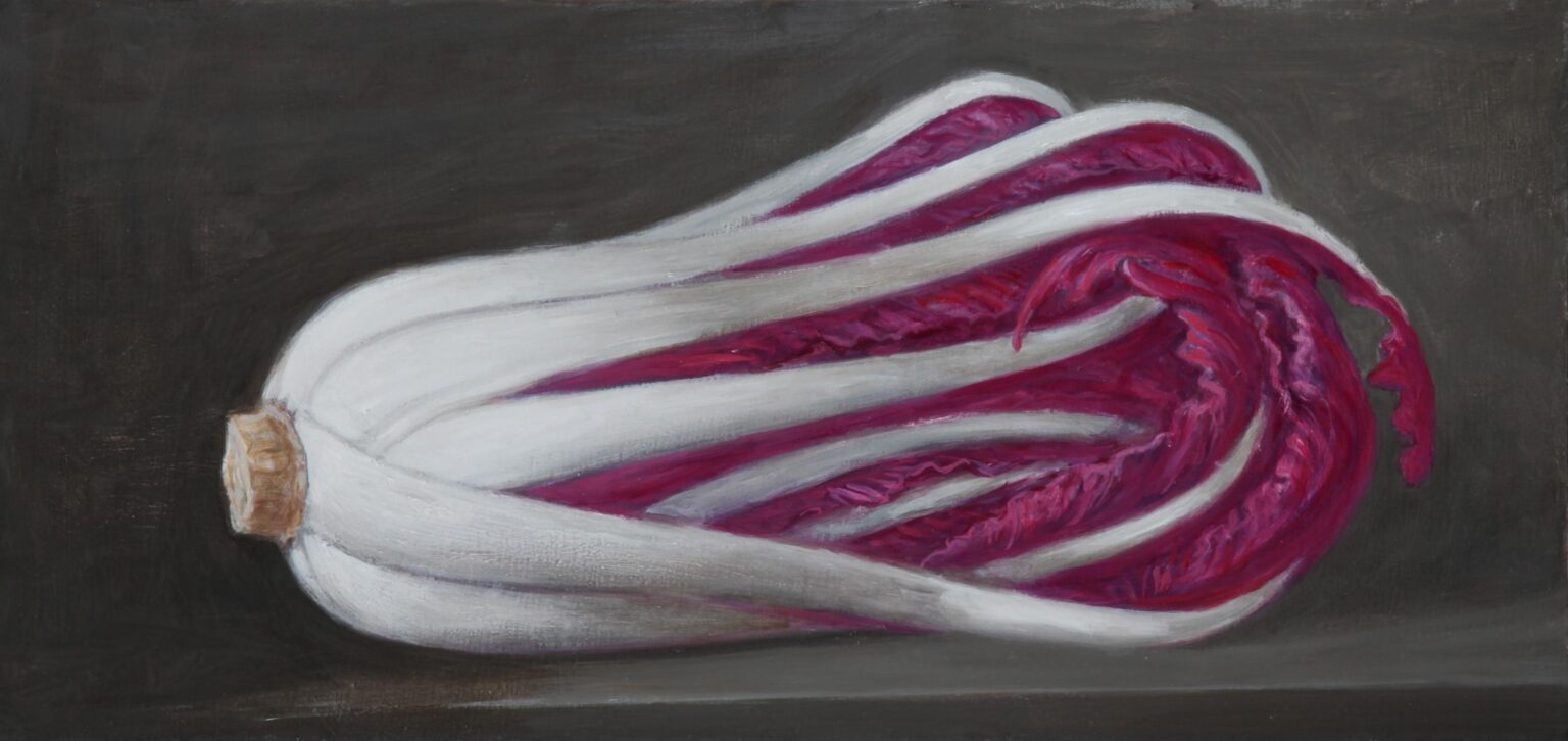 Rosso di Treviso - Volker Stelzmann 