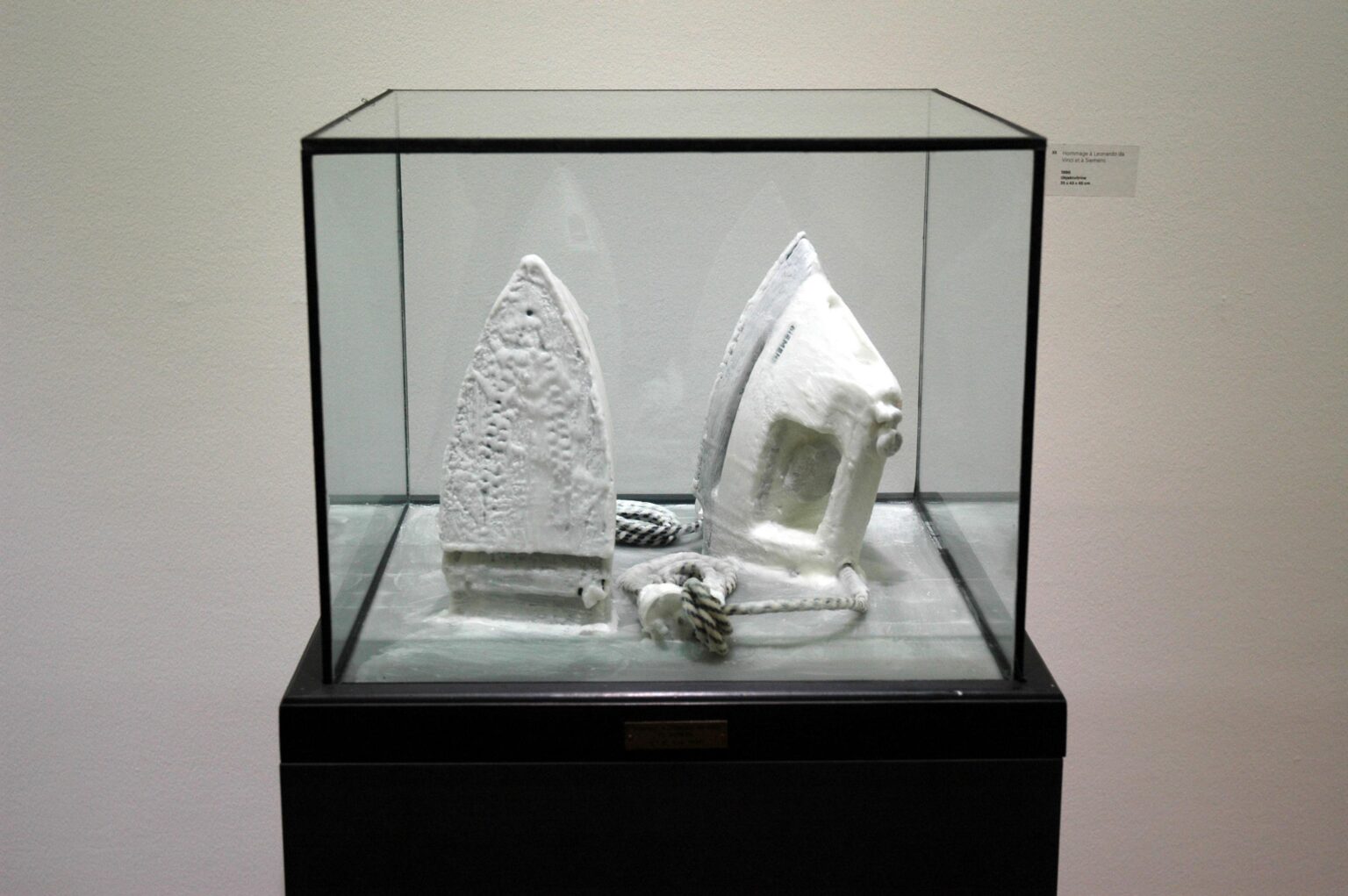 Hommage &agrave; Leonardo da Vinci et &agrave; Siemens - Raymond E. Waydelich 