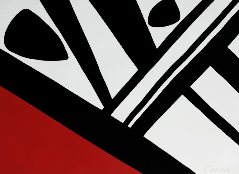 L´acier du Constructeur - Alexander Calder 