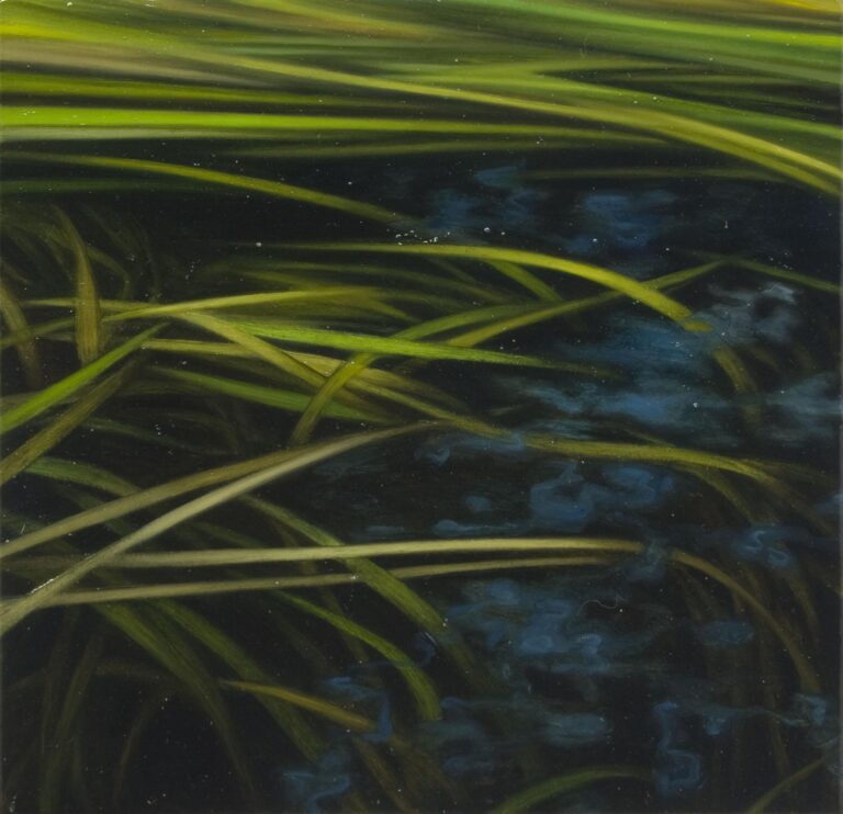 Wasserpflanzen II - Andreas Leißner 