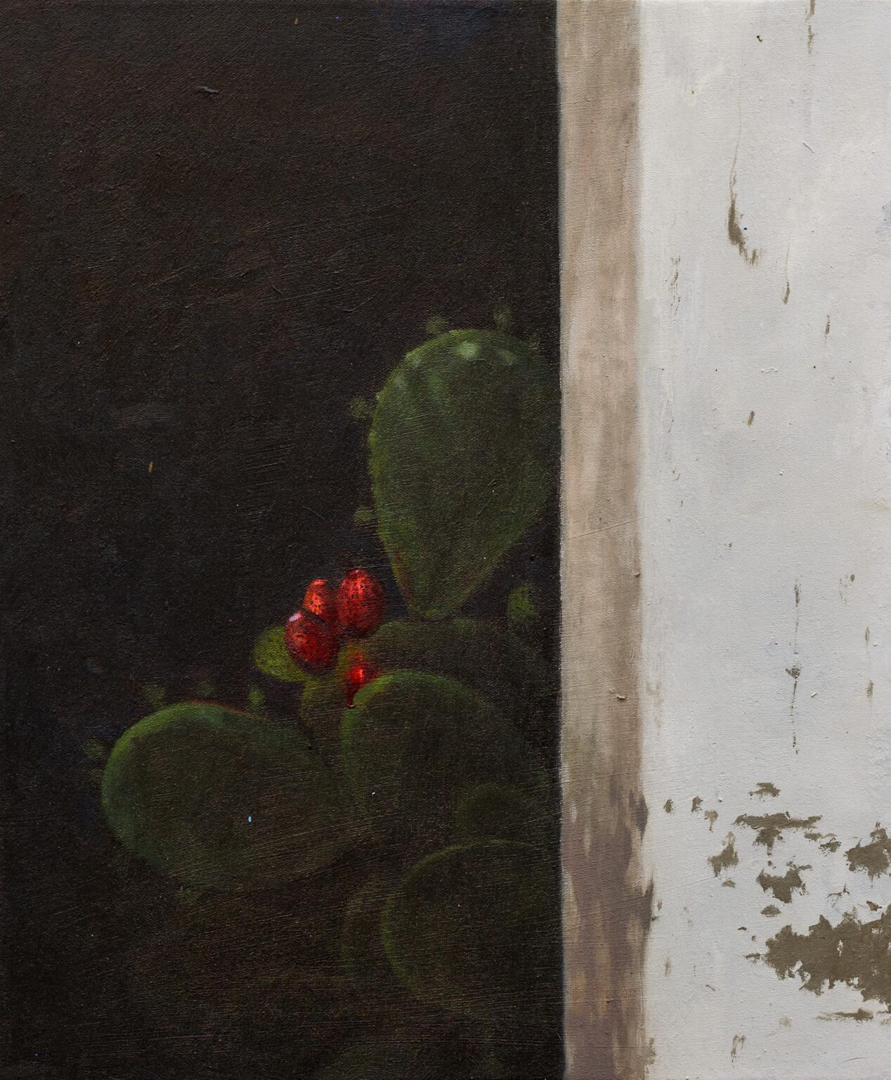 Cactus en la sombra - Jos&eacute; Engu&iacute;danos 