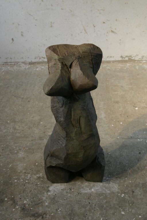 Enopie Torso - Dietrich Klinge 