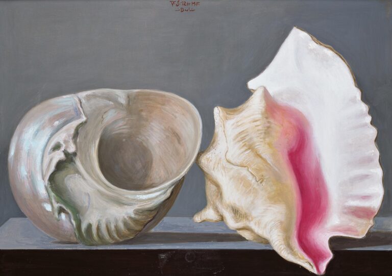 Stillleben mit Meerschnecken - Volker Stelzmann 