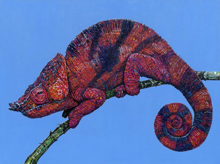 Change Your Colour (Chamäleon vor blauem Hintergrund) - Sarah Linke 