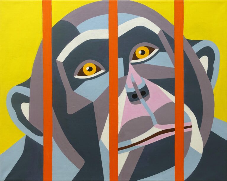 Wie lange noch in Freiheit? - Rissa 