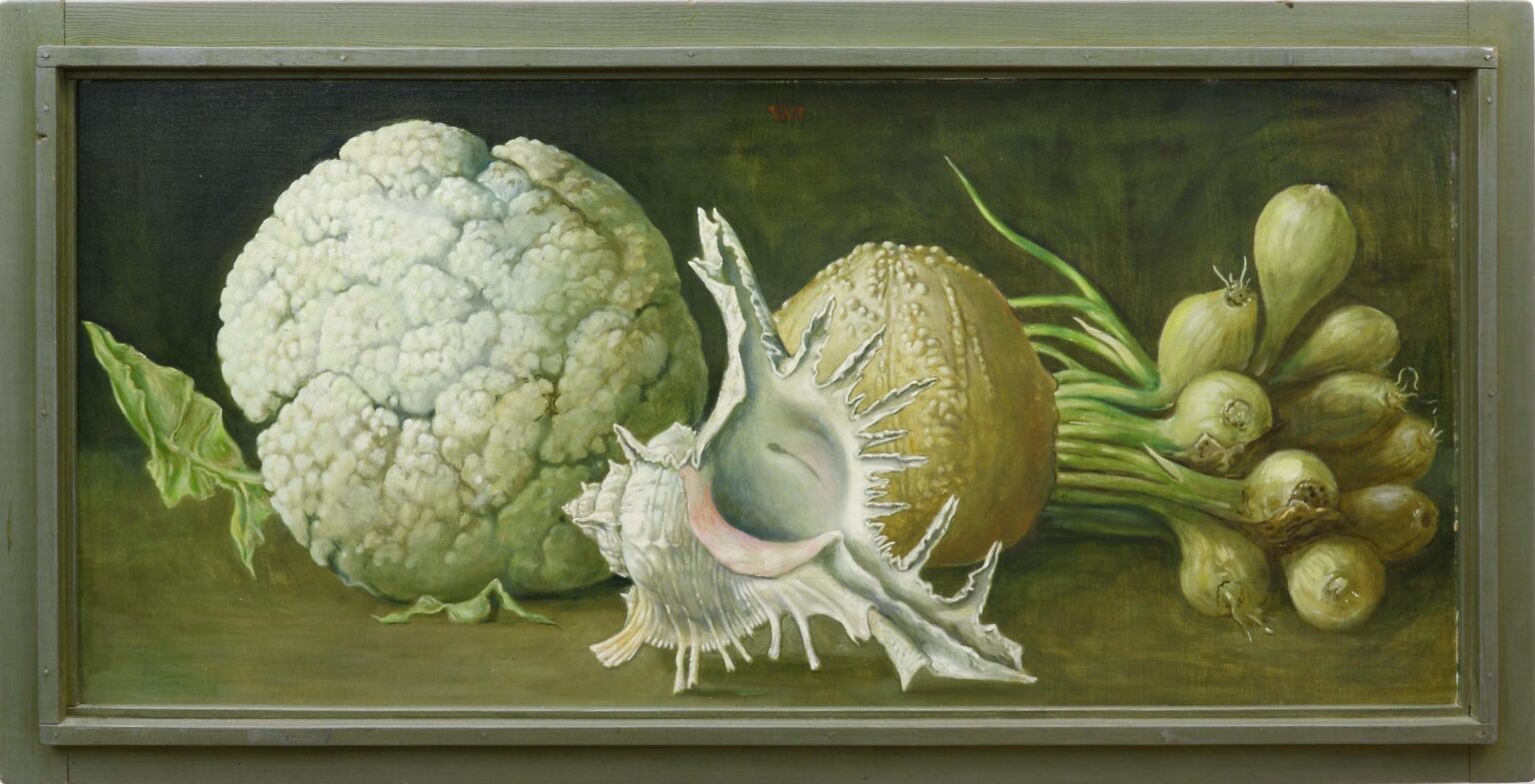 Stillleben mit Blumenkohl, Zwiebeln und Meerschnecke - Volker Stelzmann 