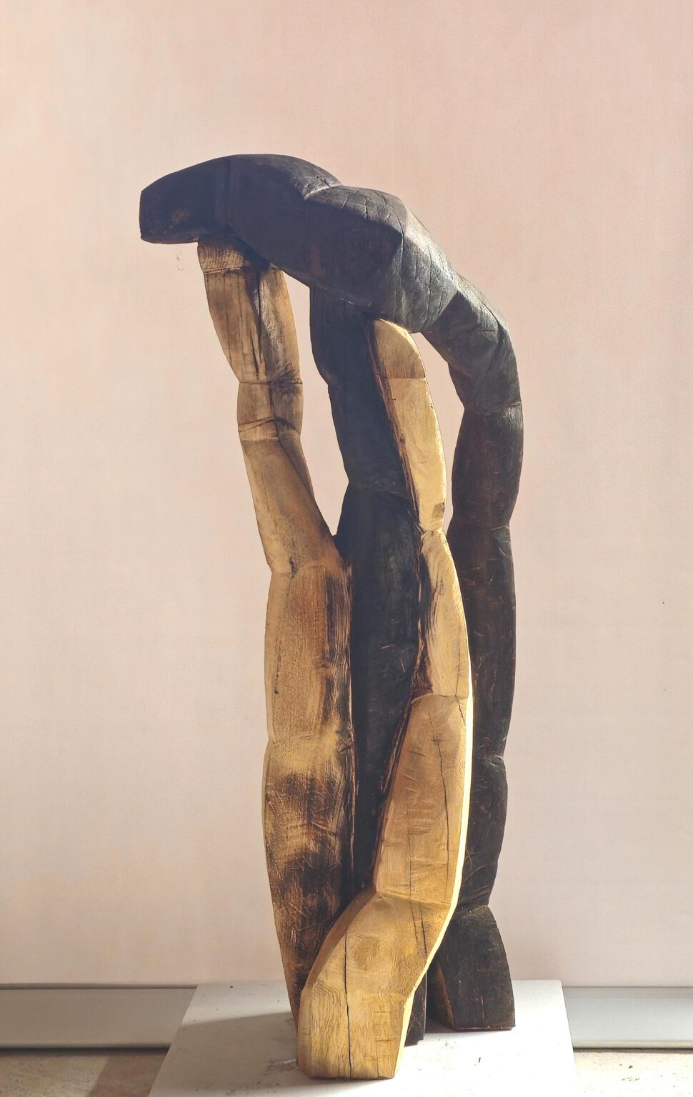 Ausbrechen - Beate Debus 