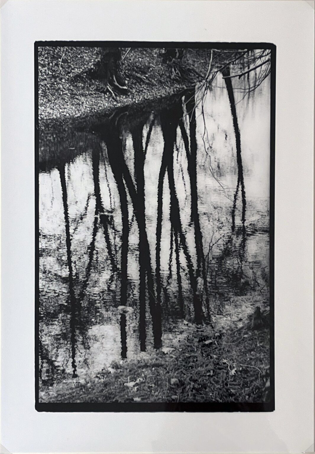 W&ouml;rlitzer Park I - Evelyn Richter 