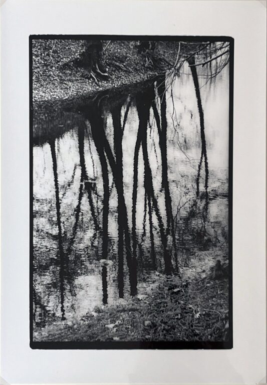 Wörlitzer Park I - Evelyn Richter 