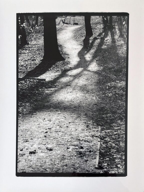 Wörlitzer Park II - Evelyn Richter 