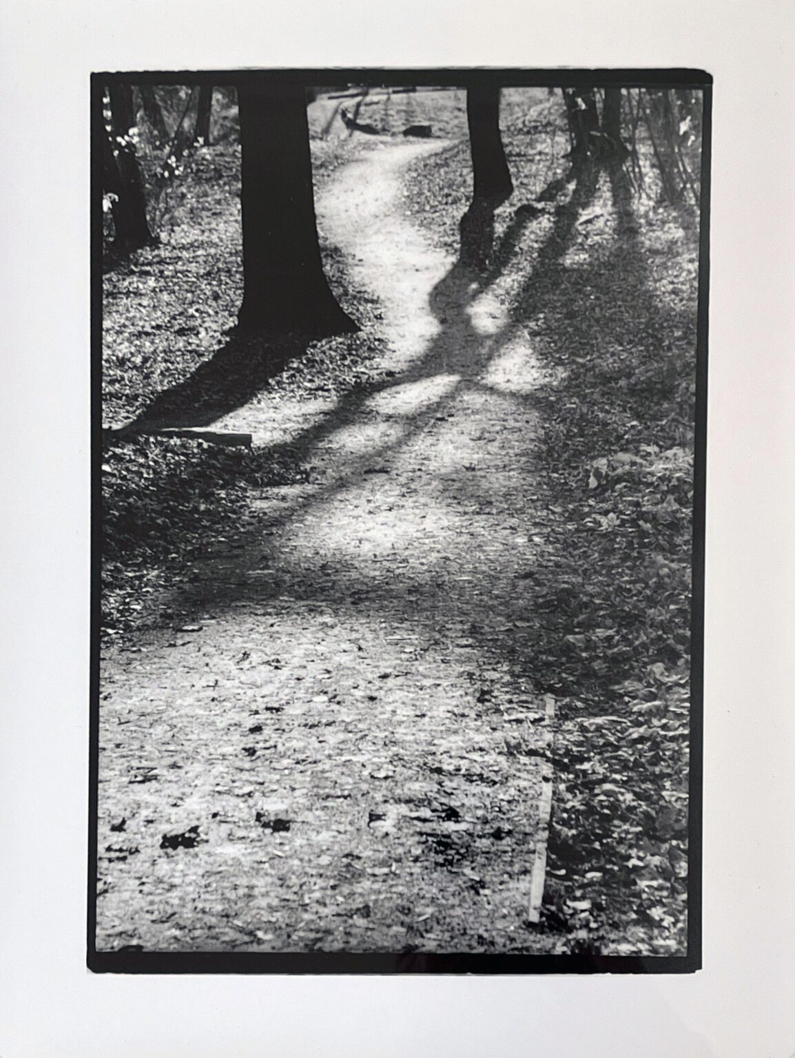 W&ouml;rlitzer Park II - Evelyn Richter 