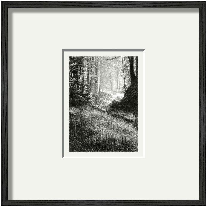 2023/2 (Wald) - Peter Wels 