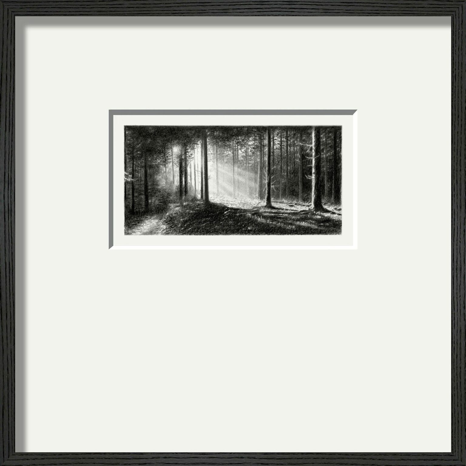 2023/3 (Wald / Licht) - Peter Wels 